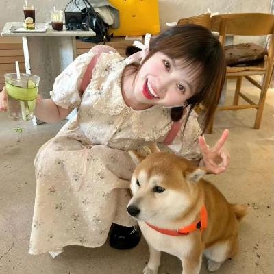 老港正传